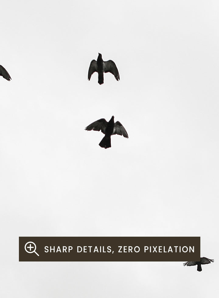 A framed black and white art print depicting a flock of birds flying across a cloudy sky, presented in a minimalist look. Birds in Flight by Shot by Clint black-and-white bird photography print featuring a scattered flock, open sky, and graphic silhouettes in motion.