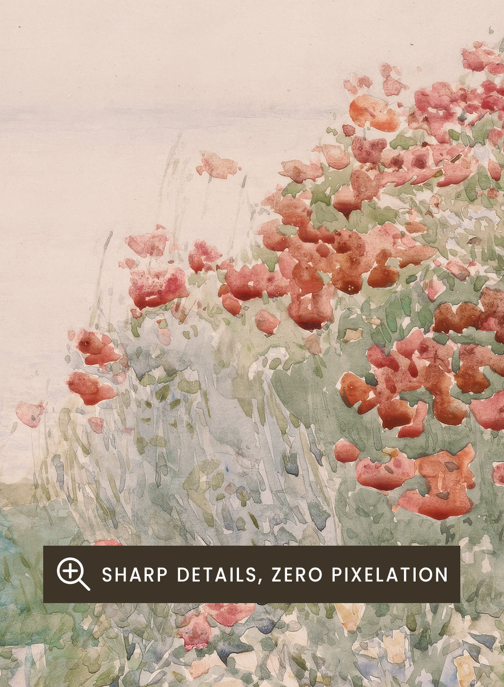 "Field of Poppies, Isles of Shoals" Art Print