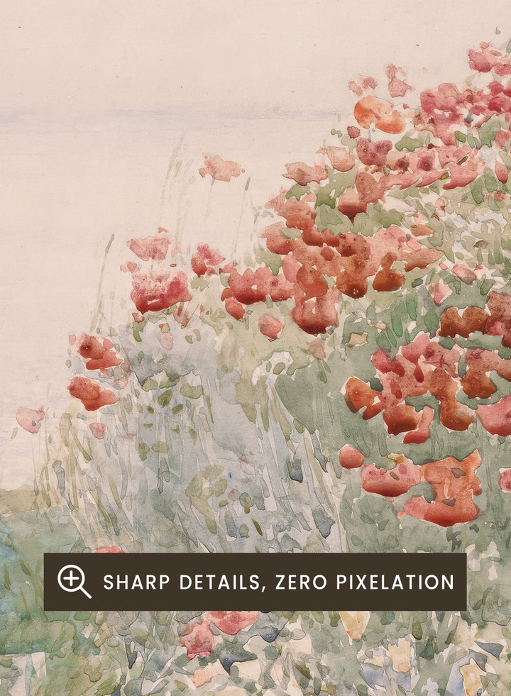 "Field of Poppies, Isles of Shoals" Art Print