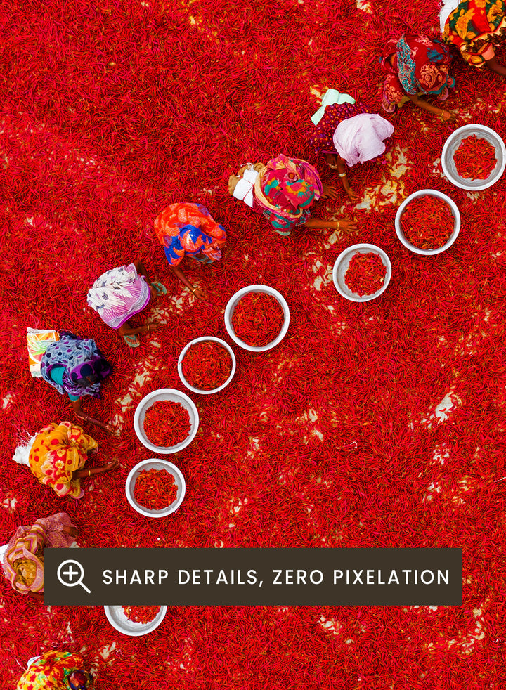 Picking Red Chilies by Azim Khan Ronnie aerial photography print showing workers harvesting red chilli fields Bangladesh, cultural documentary wall art poster