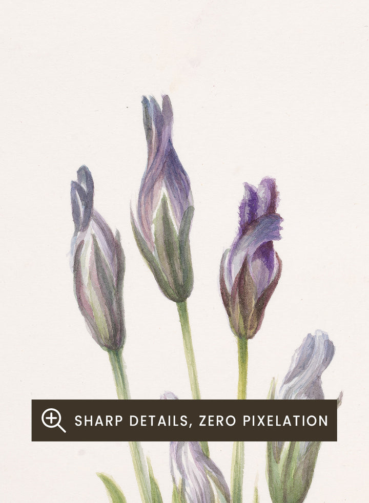 "Gentian" Art Print