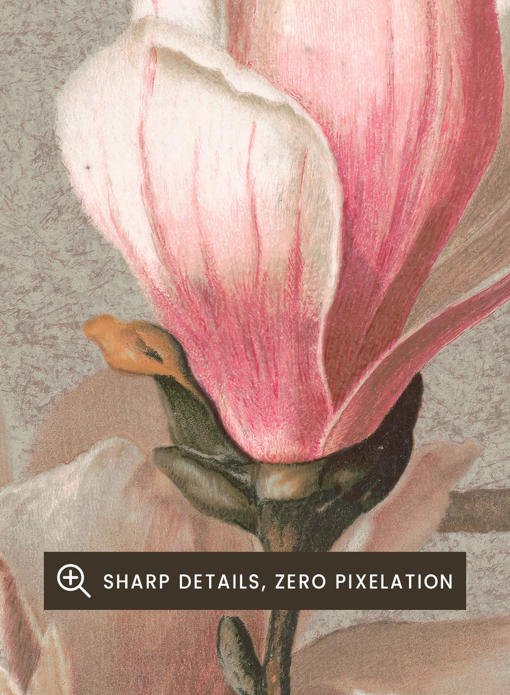 "Magnolia" Art Print