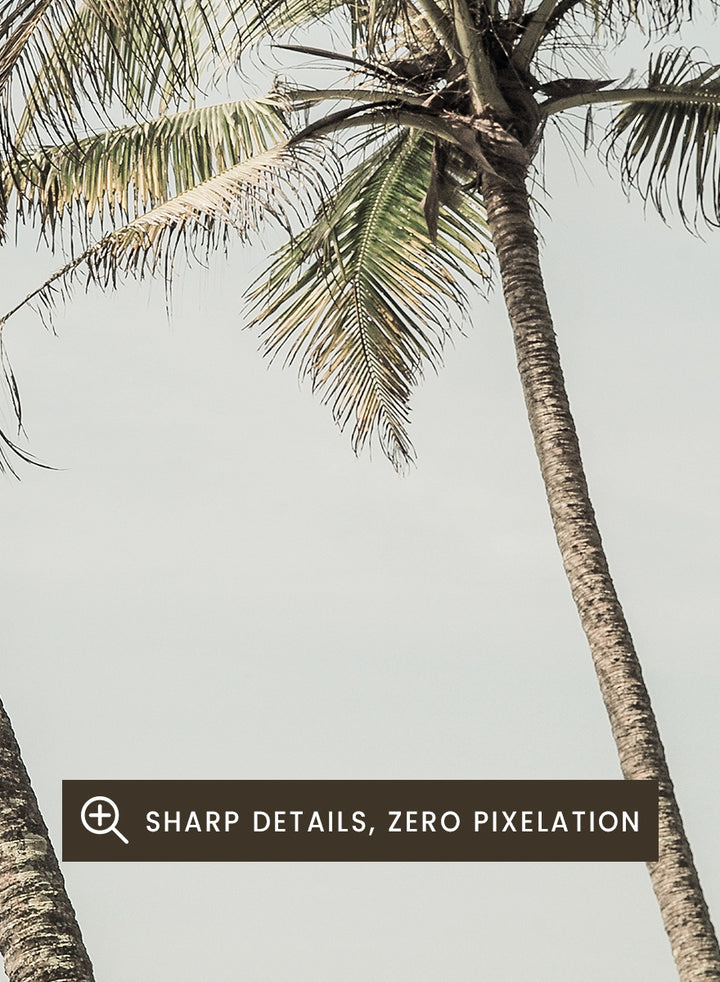 A framed art print featuring three leaning palm trees against a pale sky and ocean horizon. Ocean Breeze Palms by Shot by Clint coastal art print featuring tall palm trees, soft blue ocean views, and an airy tropical landscape.