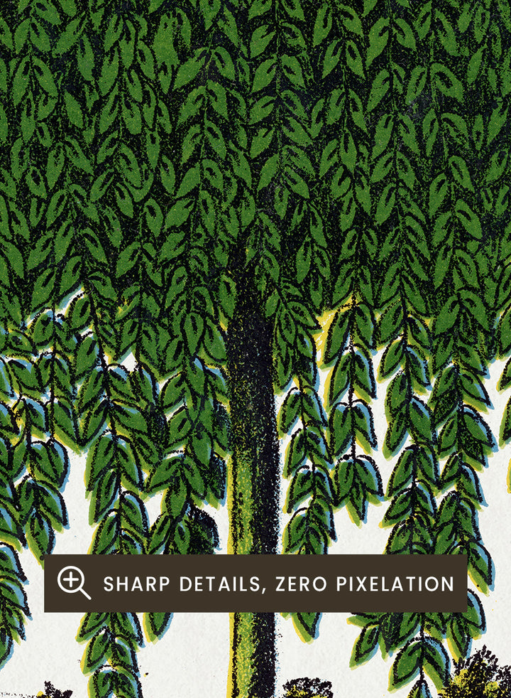 Vintage botanical illustration of a Kilmarnock weeping willow tree, shown with a rounded crown and long drooping green leaves on a white background with printed text below. Shop the Kilmarnock Weeping Willow art print by Botanical Specimen Rochester Lithographing, a vintage botanical tree illustration wit green foliage and original 1900 specimen text.
