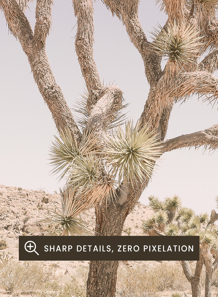 A framed art print depicting a desert landscape with a prominent Joshua tree in the foreground, set against a pale lavender sky and sandy hills. Desert Serenity by Shot by Clint features a Joshua tree desert landscape in soft earthy tones with a pale sky and calm, sun-washed atmosphere.