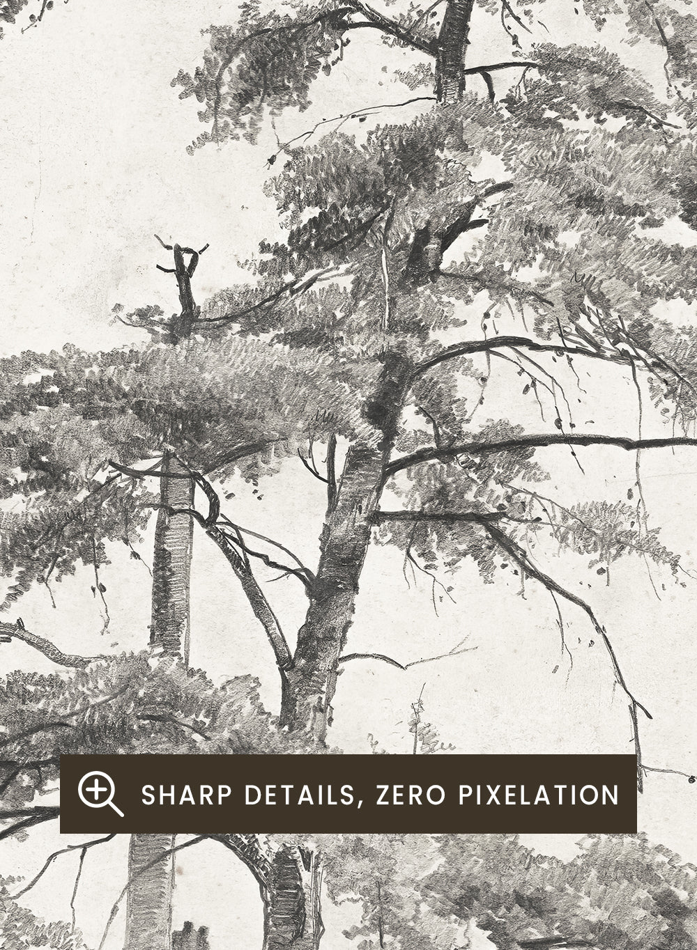 "Trees, West Virginia" Sketch Art Print