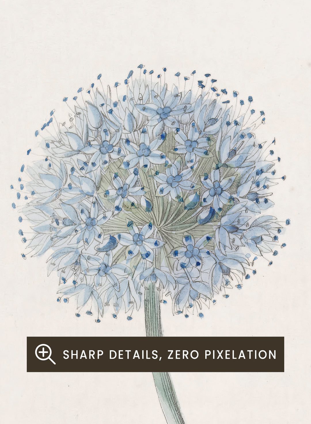 "Blue Leek" Art Print