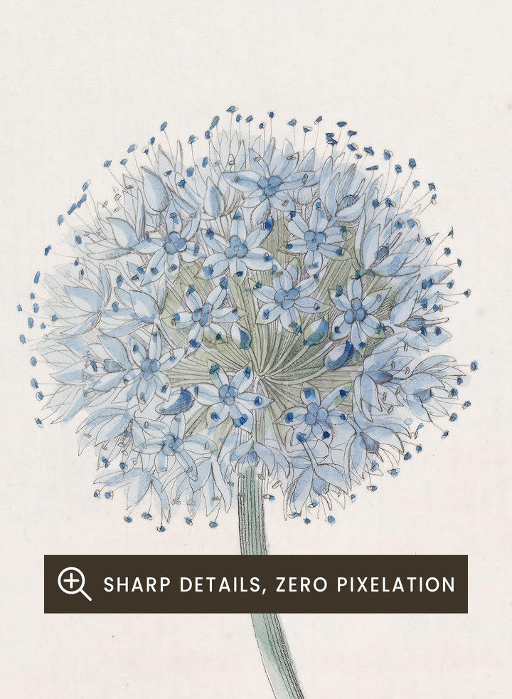 "Blue Leek" Art Print
