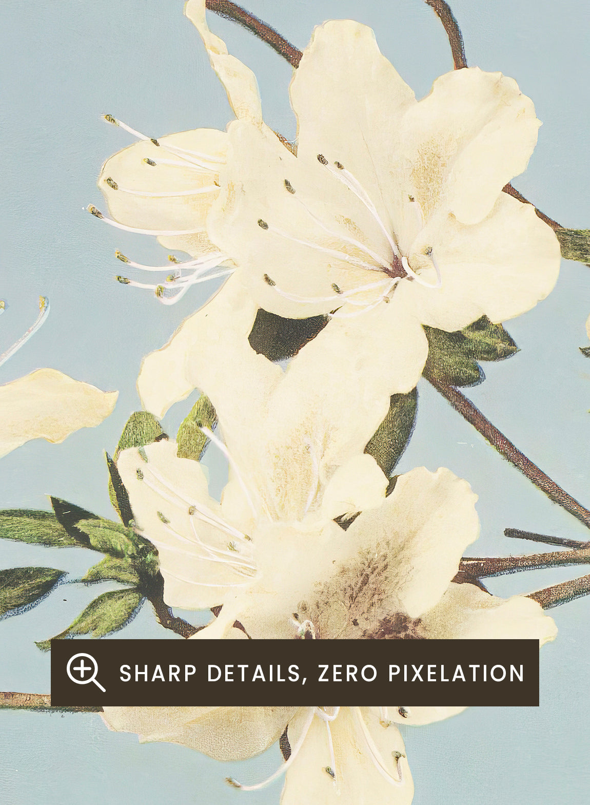 Ogawa Kazumasa White Azaleas Flowers Vintage Japanese Photograph