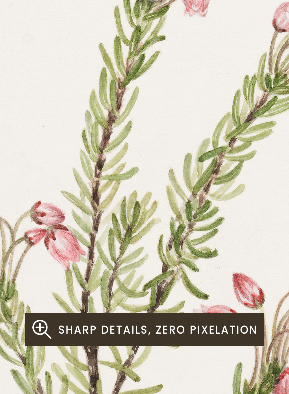"Pink Mountain Heather" Art Print