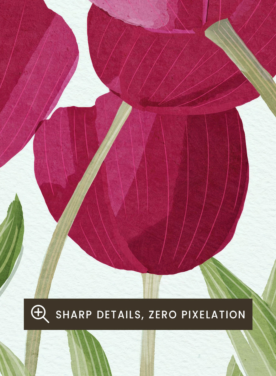 A stylized floral illustration of pink tulips with green leaves on a white background. Shop Tulips Floral Art Print by Katie O&