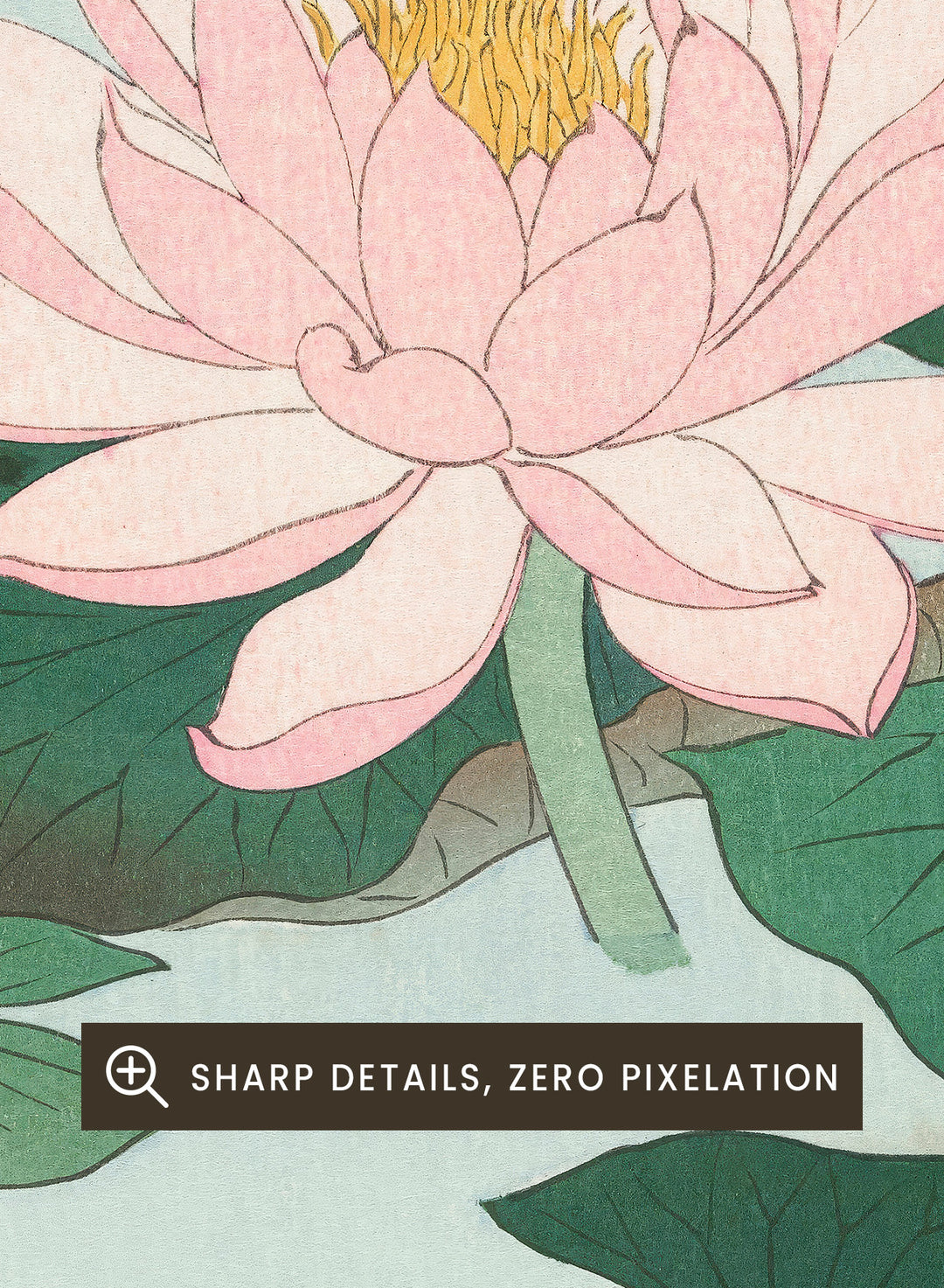 Ohara Koson "Water Lily" Art Print