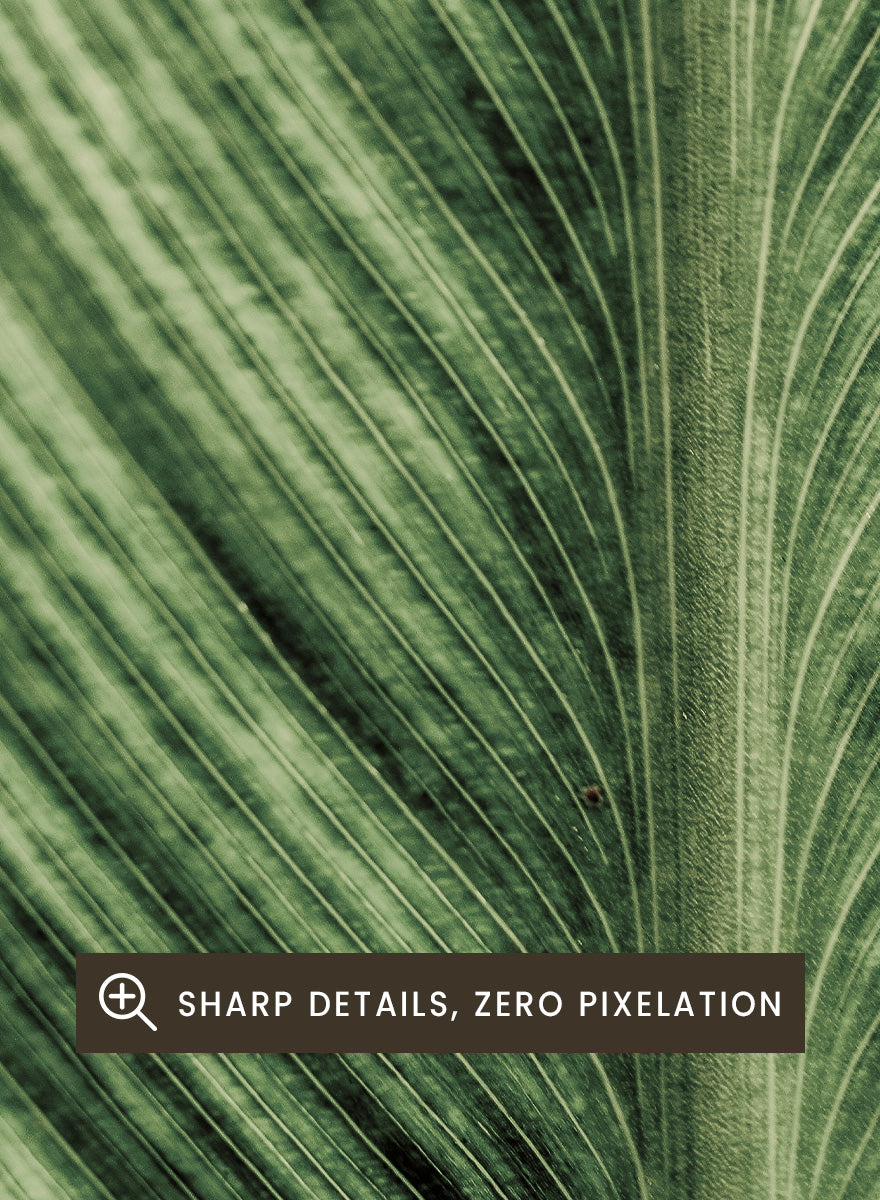 A framed botanical art print featuring a close-up photograph of a green leaf with prominent veins. Verdant Veins by Shot by Clint botanical photography print featuring detailed green leaf veins, natural texture, and layered organic pattern.