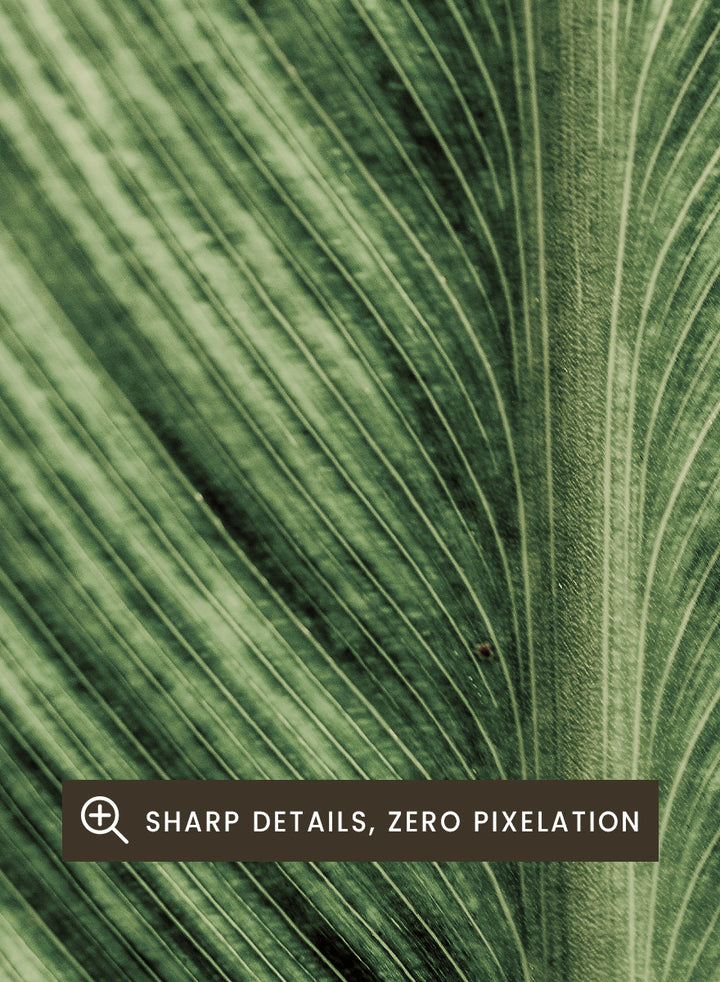 A framed botanical art print featuring a close-up photograph of a green leaf with prominent veins. Verdant Veins by Shot by Clint botanical photography print featuring detailed green leaf veins, natural texture, and layered organic pattern.