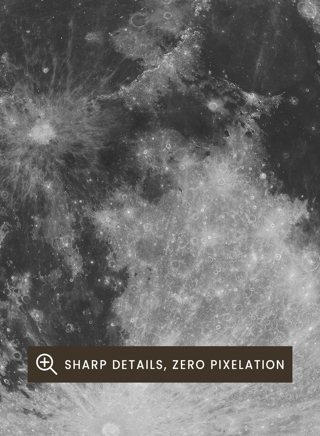 Poster of the moon with 'Moon' text at the top and 'Solar System' text at the bottom. The Full Moon by Florent Bodart is a minimalist space art print with detailed lunar surface, a modern black wall poster inspired by astronomy and science design.