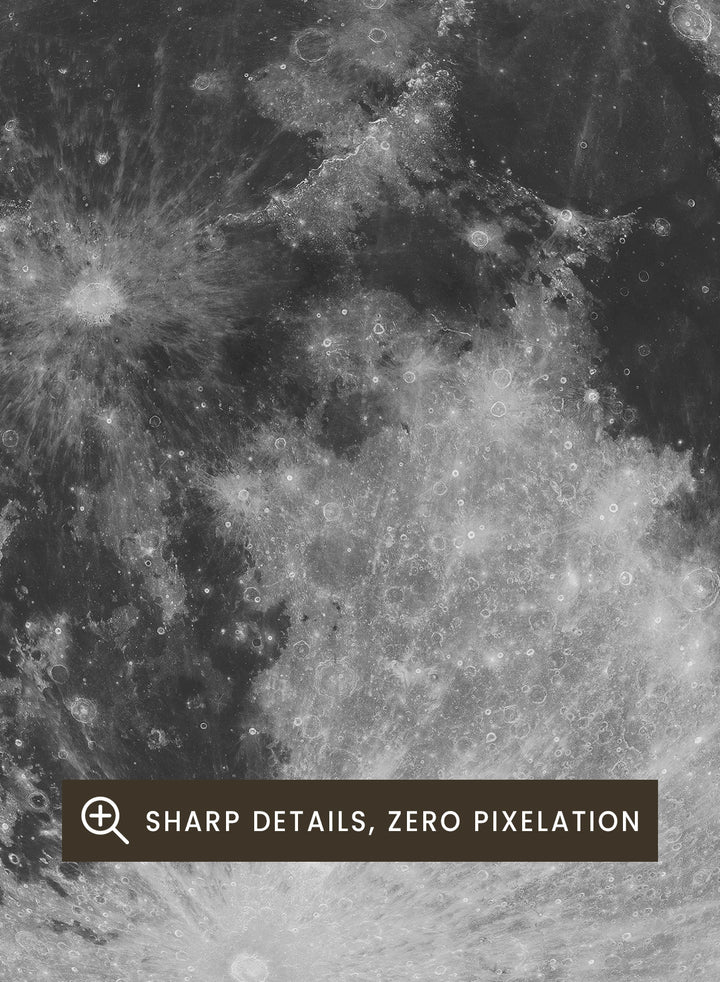 Poster of the moon with 'Moon' text at the top and 'Solar System' text at the bottom. The Full Moon by Florent Bodart is a minimalist space art print with detailed lunar surface, a modern black wall poster inspired by astronomy and science design.