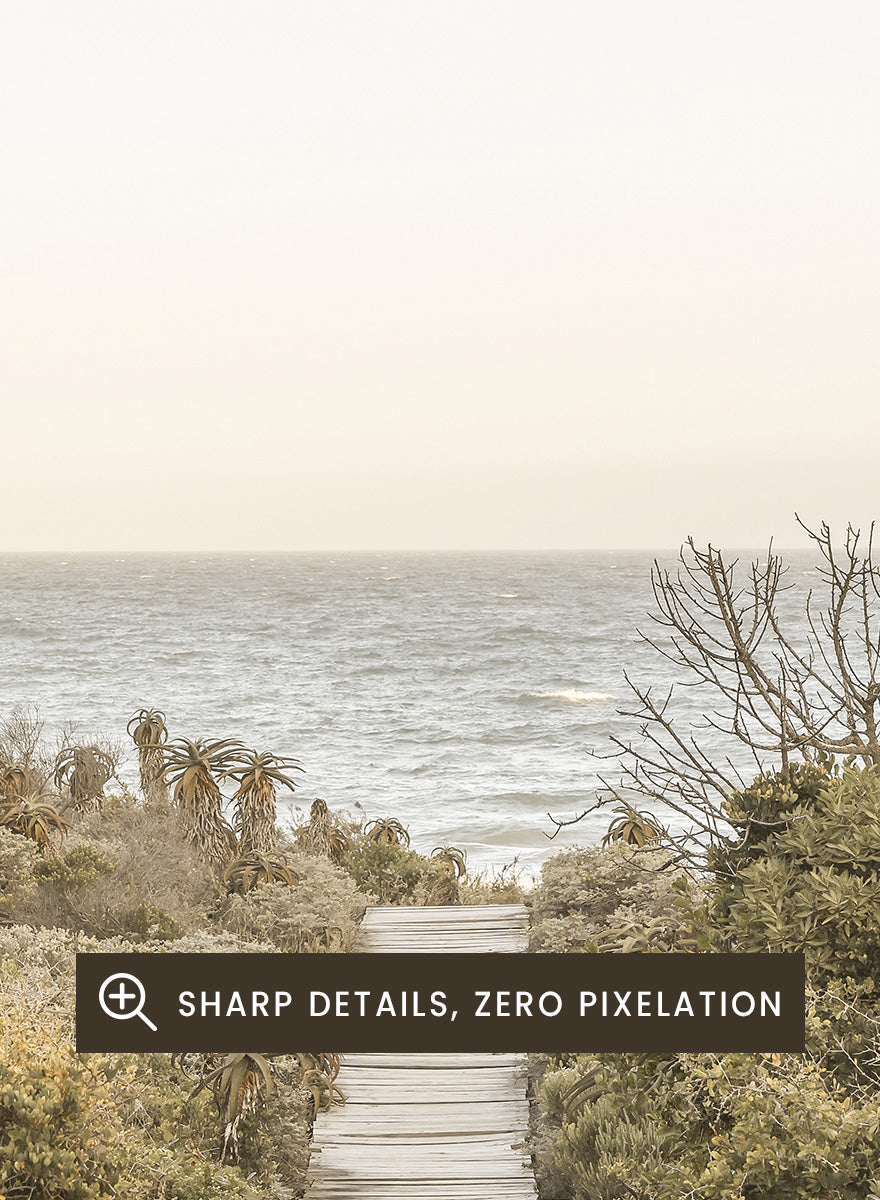 A framed photographic art print depicting a wooden boardwalk leading from dense green beach vegetation to the ocean under a pale sky. Pathway to Tranquility by Shot by Clint coastal art print featuring a wooden boardwalk, wild greenery, distant palms, and a soft ocean horizon.