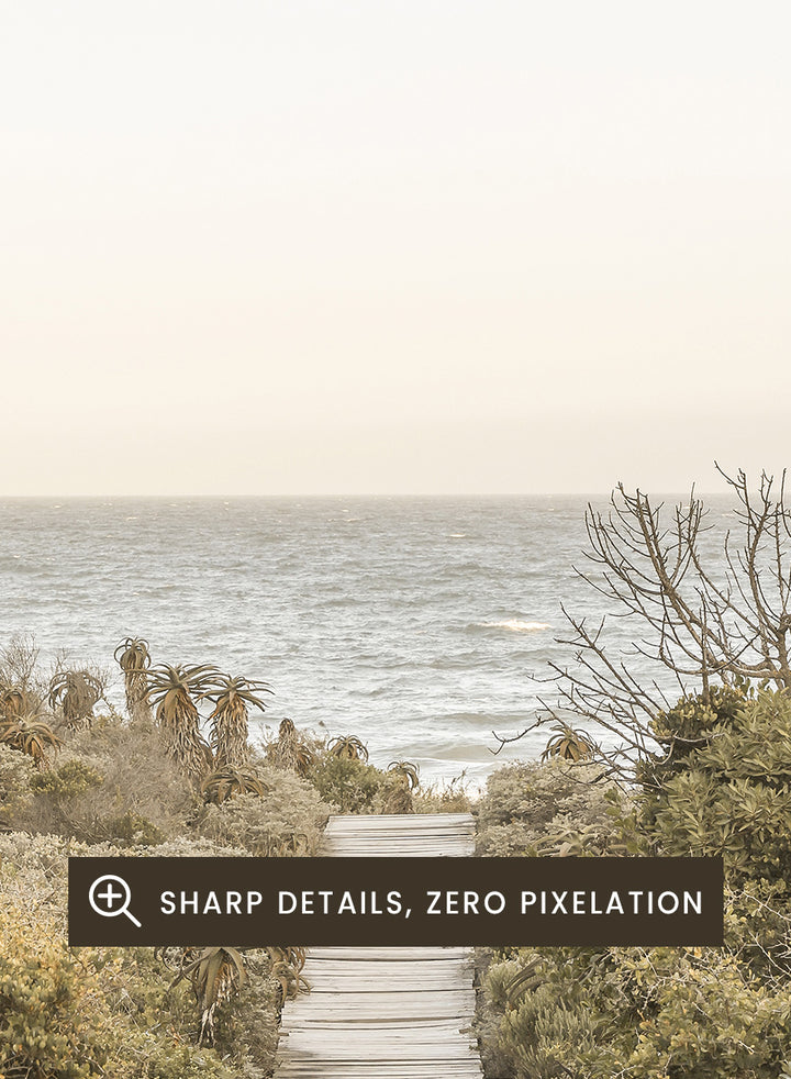 A framed photographic art print depicting a wooden boardwalk leading from dense green beach vegetation to the ocean under a pale sky. Pathway to Tranquility by Shot by Clint coastal art print featuring a wooden boardwalk, wild greenery, distant palms, and a soft ocean horizon.