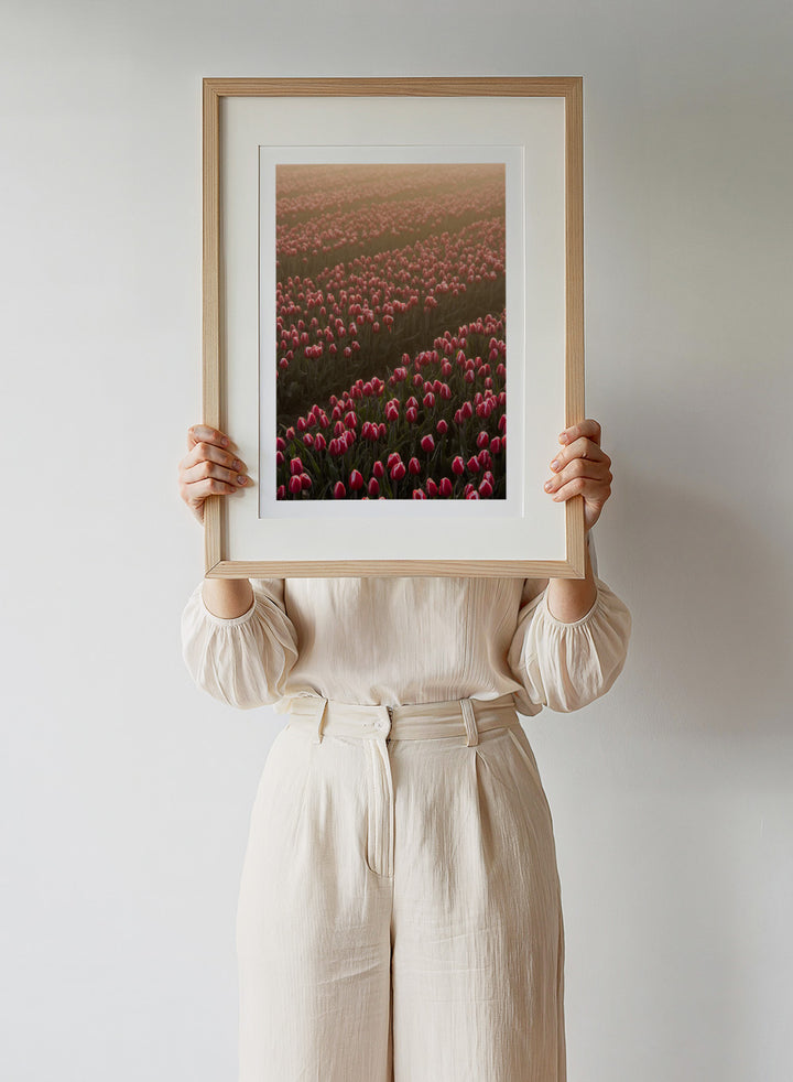 Field of pink tulips with a soft glow, likely from sunset or sunrise. Field of Flowers Art Print by Mareike Böhmer. Floral wall art photography featuring pink tulips. Officially licensed fine art print by German photographer Mareike Böhmer.