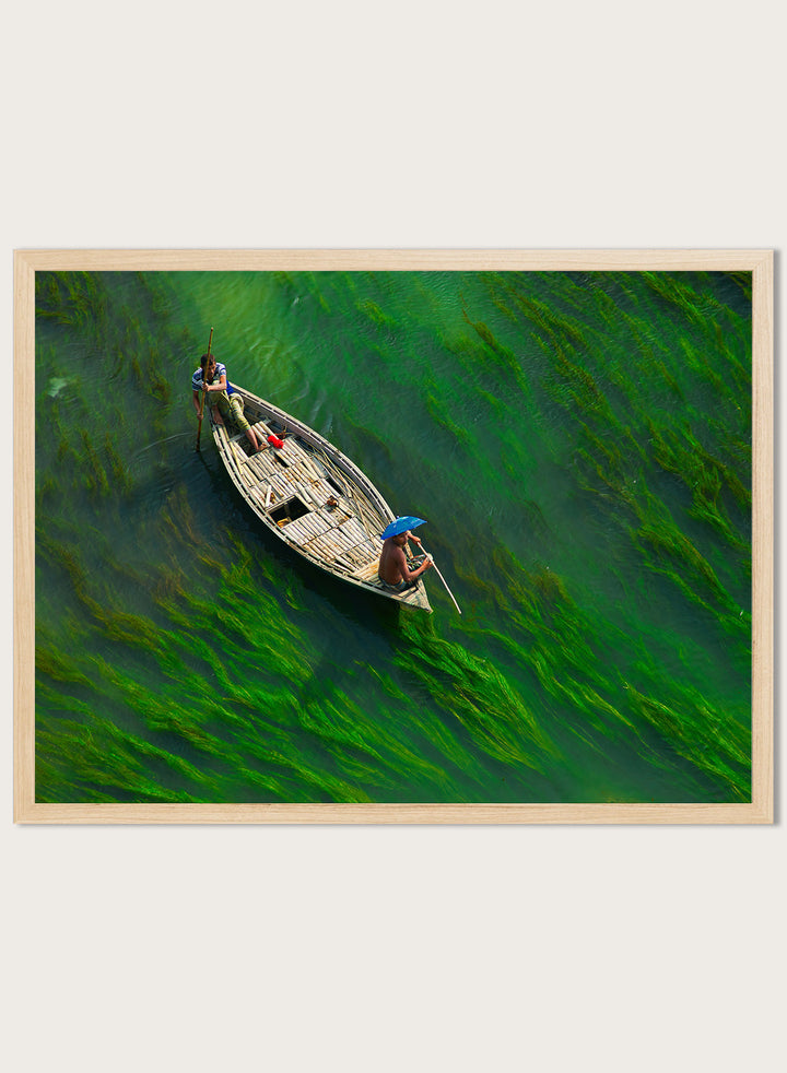 Sailing Through Green Veins by Azim Khan Ronnie aerial photography print showing boat over green aquatic plants river, nature wall art poster