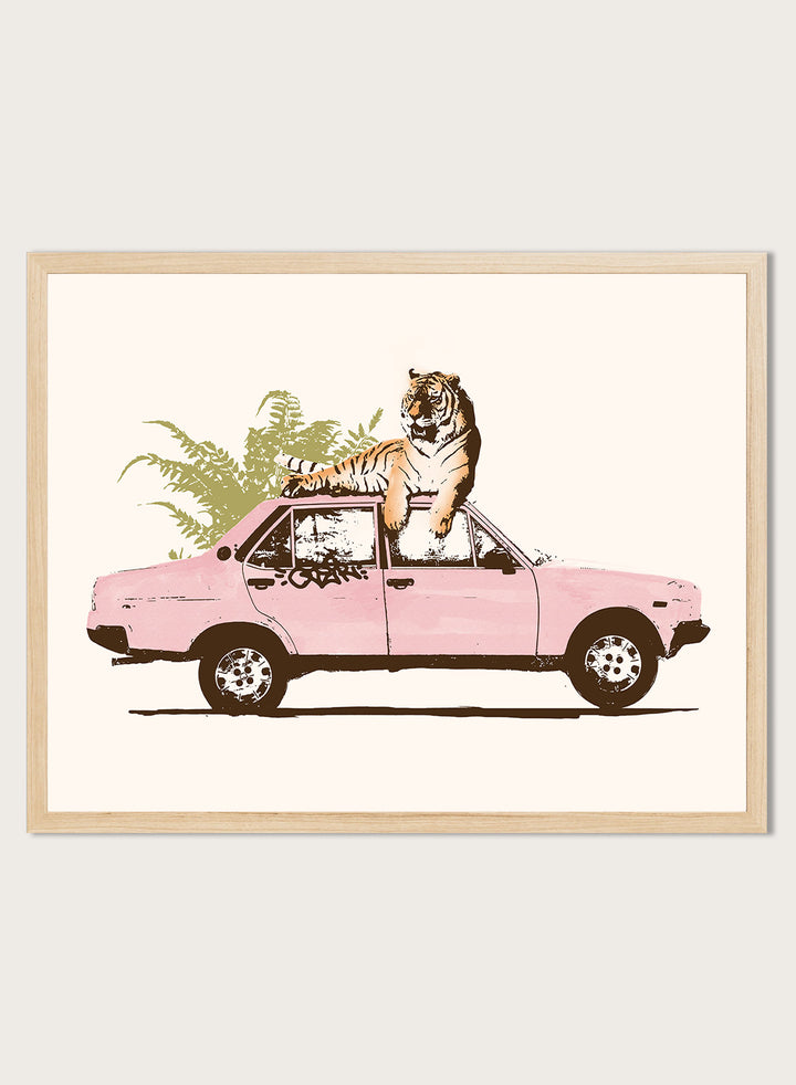 Framed artwork of a tiger in a pink car with greenery on a white background. Tiger On Pink Car by Florent Bodart is a surreal animal art print with a tiger on a vintage car, a modern wall poster with playful, bold, and imaginative design.