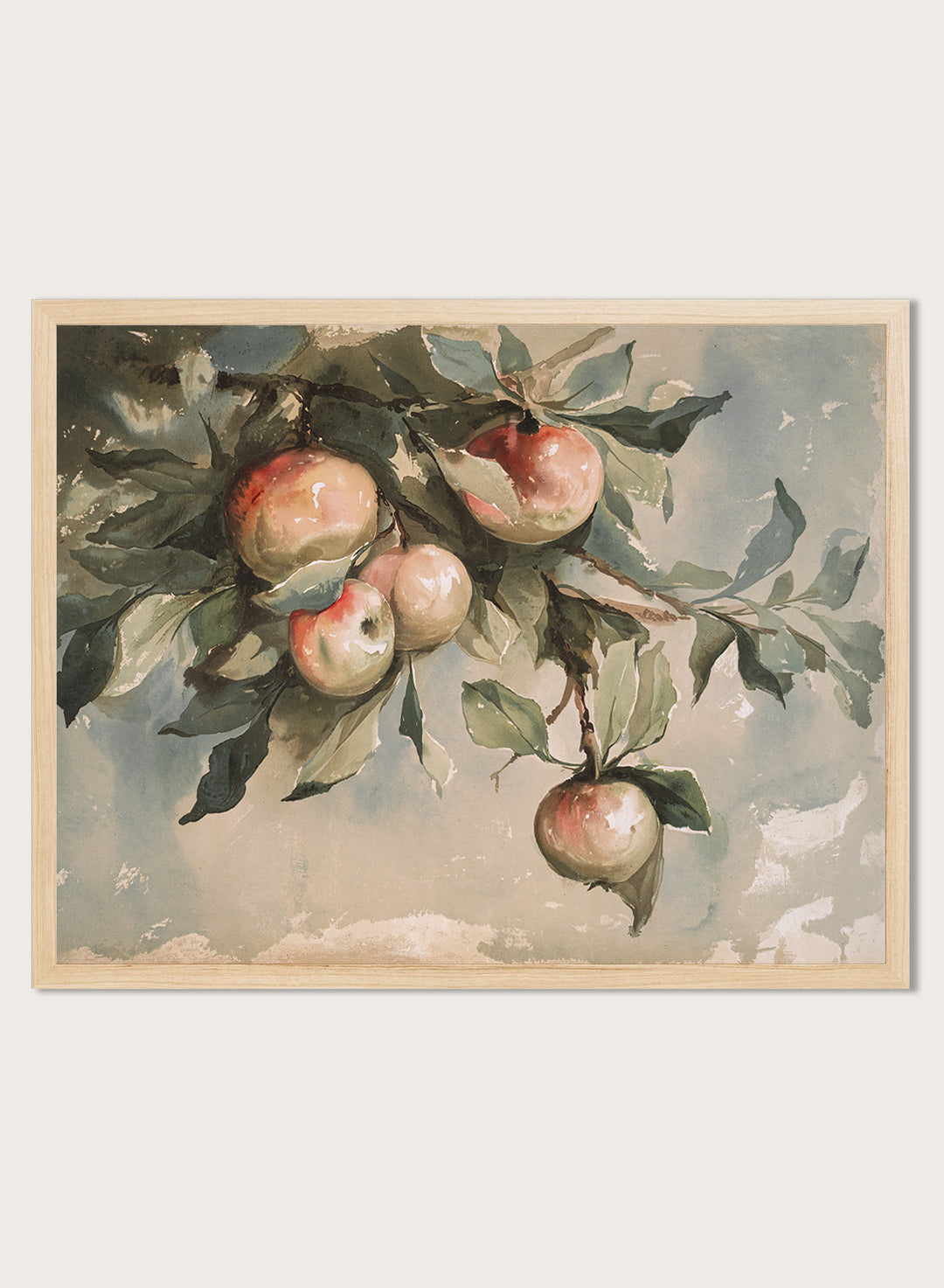 "Study of Apples" Art Print