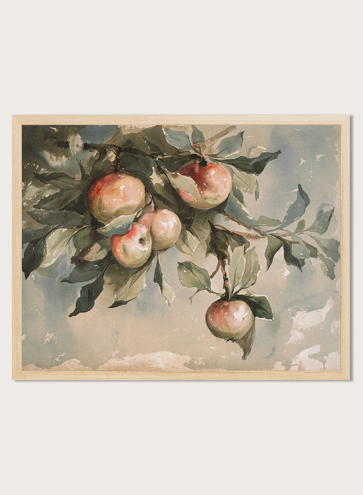 "Study of Apples" Art Print