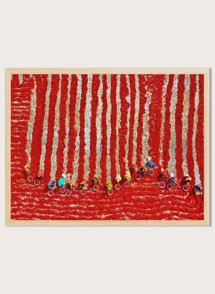 Drying Red Chilies by Azim Khan Ronnie aerial photography print showing chilli fields in Bangladesh with workers, cultural documentary wall art poster