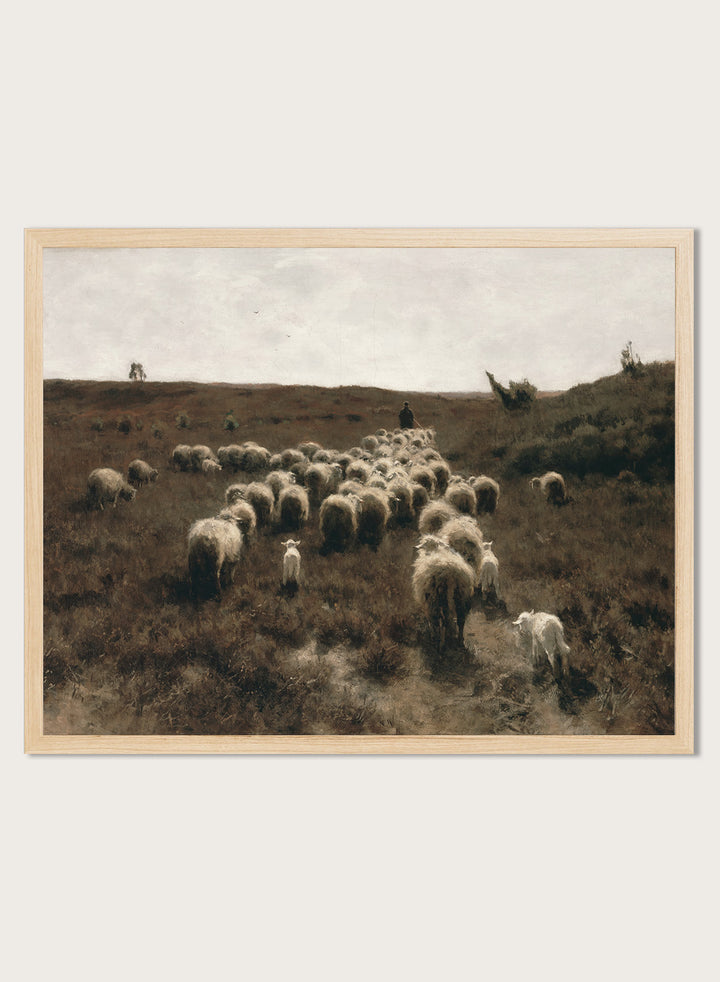 "The Return of the Flock, Laren" Art Print