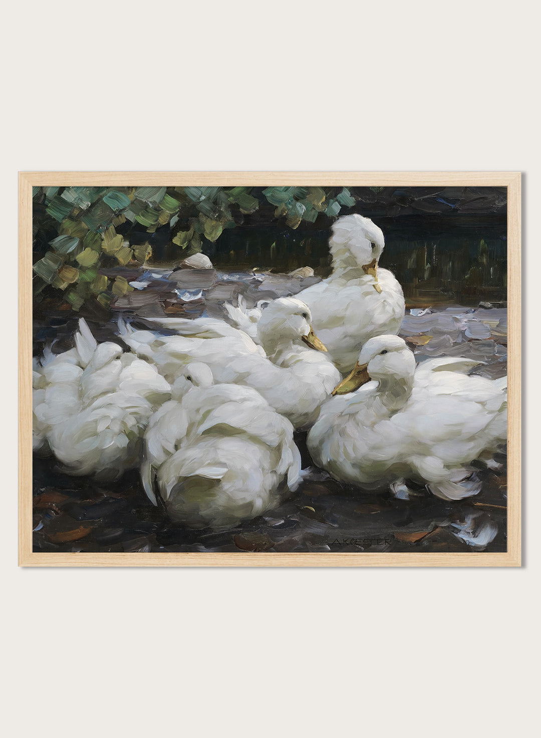 "Five Resting White Ducks" Art Print