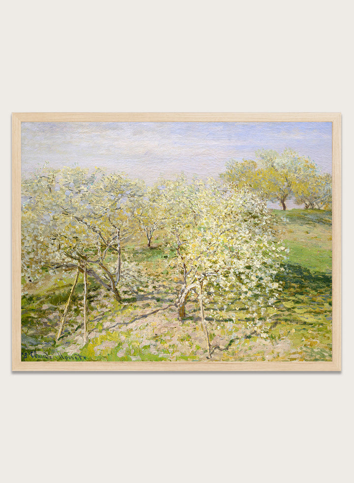 Claude Monet Spring (Fruit Trees in Bloom) Art Print