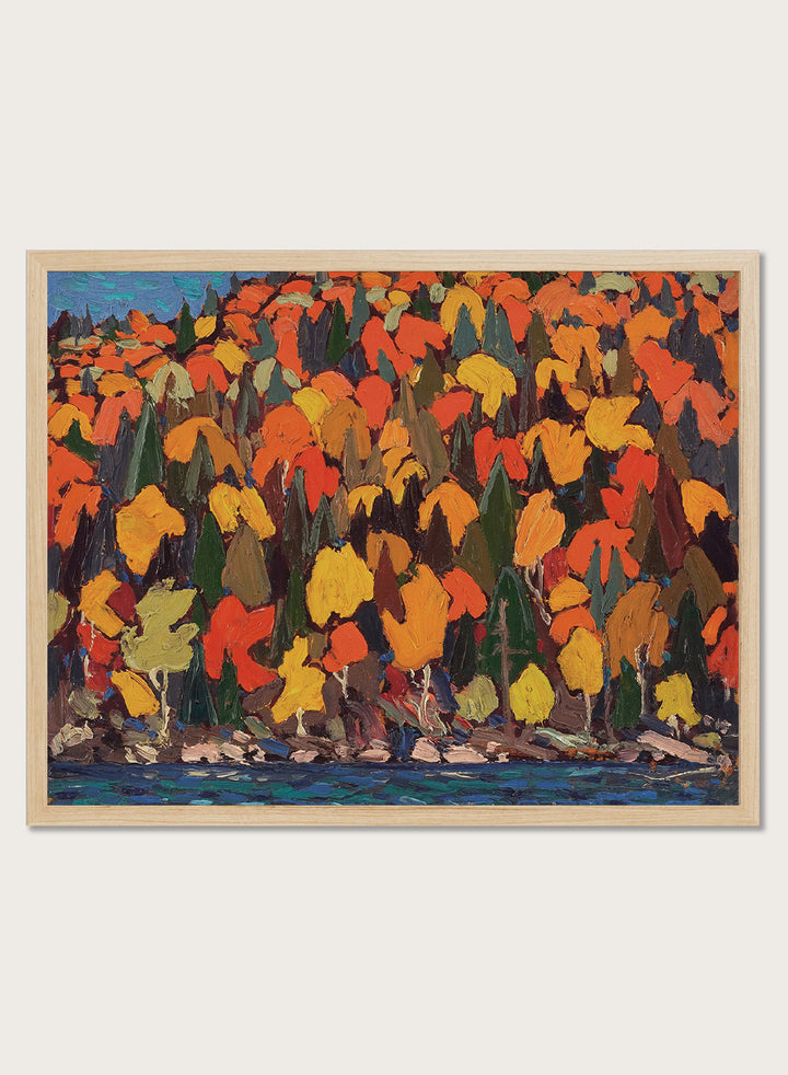 Shop Autumn Foliage by Tom Thomson, a vintage Canadian landscape wall art print poster featuring brilliant autumn trees along the water in orange tones.