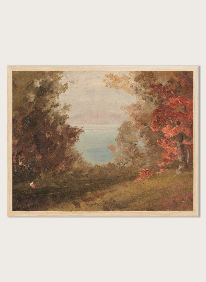 "Woodland Scene in Autumn" Art Print