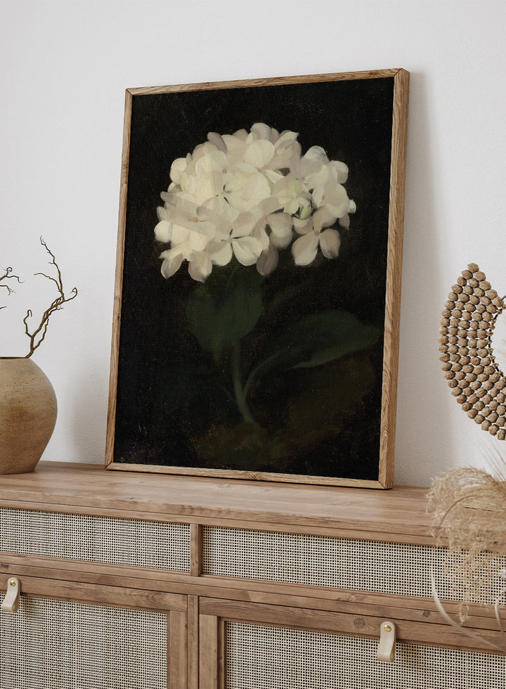 "White Hydrangea" Art Print