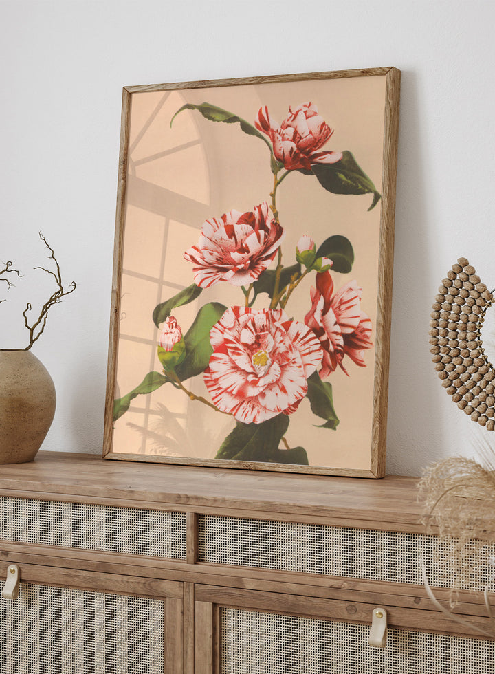 Ogawa Kazumasa Red Striped Camellias Flowers Japanese Art Print OK06B