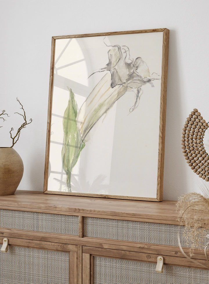 Flower by Sientje Mesdag-van Houten is a vintage botanical print, a watercolor study of a single wilting bloom with a green leaf and pale curling stems.