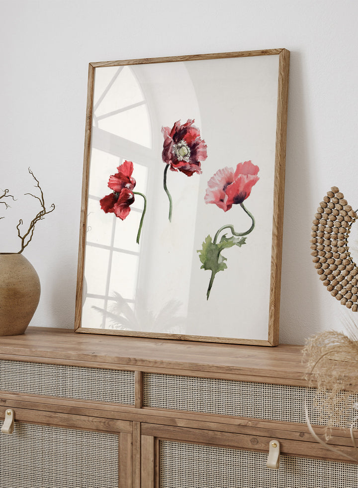 Poppy Flowers by Lilly Walther is a vintage botanical print of three red and pink poppies in watercolor, a floral wall art print for any room.