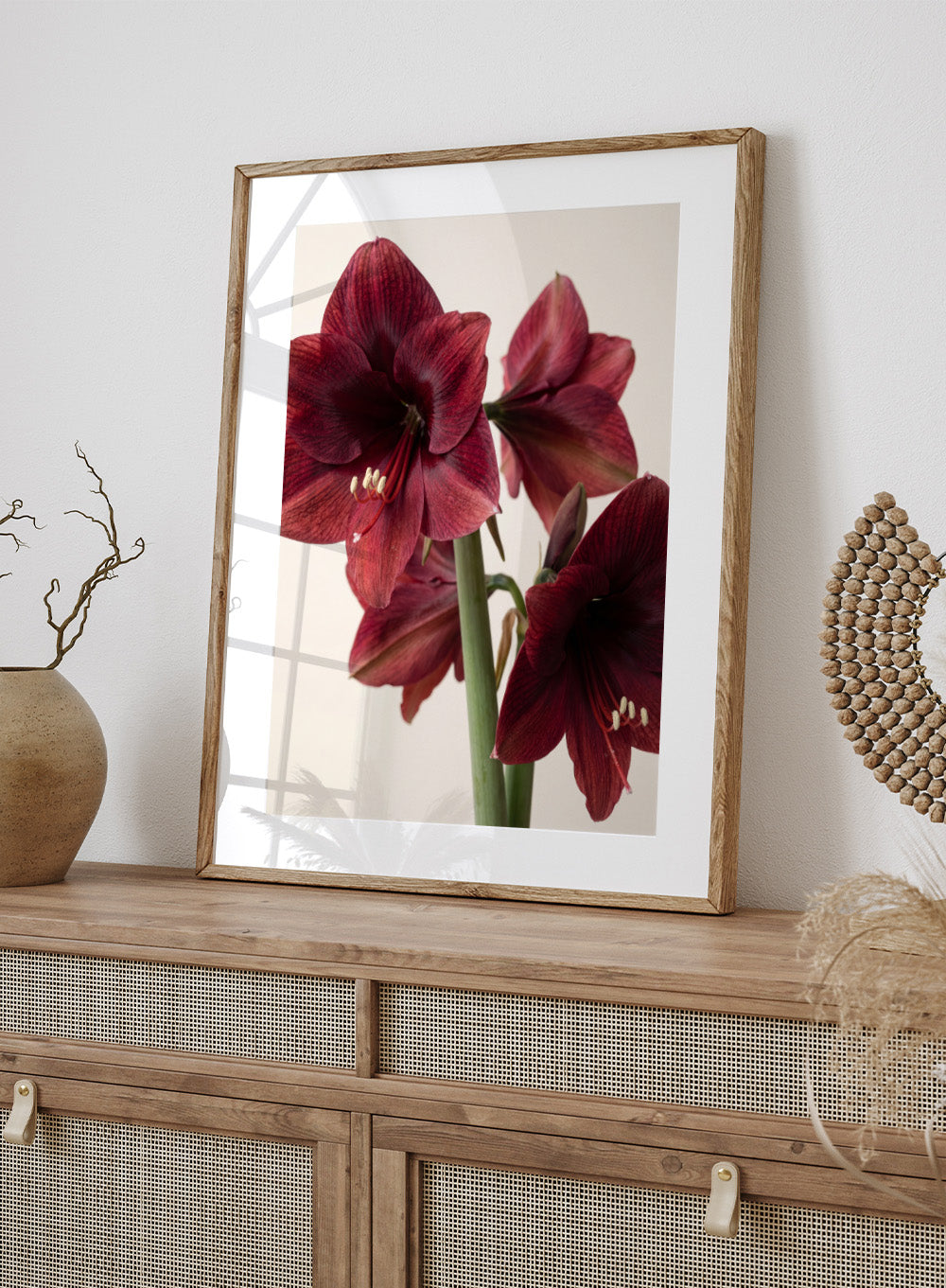 Close-up of dark red amaryllis flowers on a beige background. Red Amaryllis by Andreas Magnusson is a floral photography art print featuring bold red amaryllis flowers, modern botanical wall art style, and officially licensed artwork.