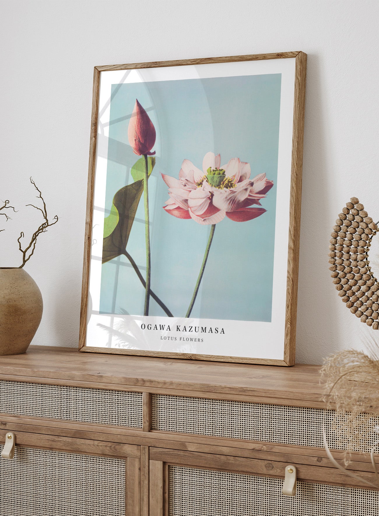 Ogawa Kazumasa Lotus Flowers Vintage Japanese Photograph Botanical