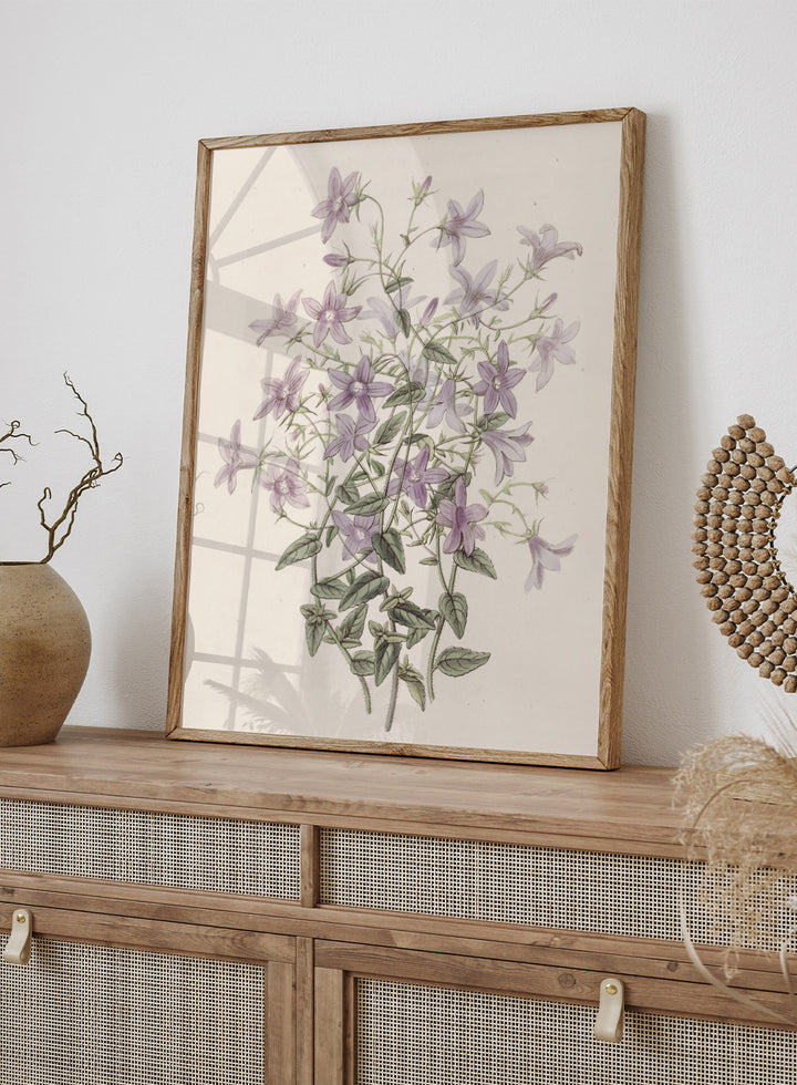 "Laefling’s Bellflower" Art Print
