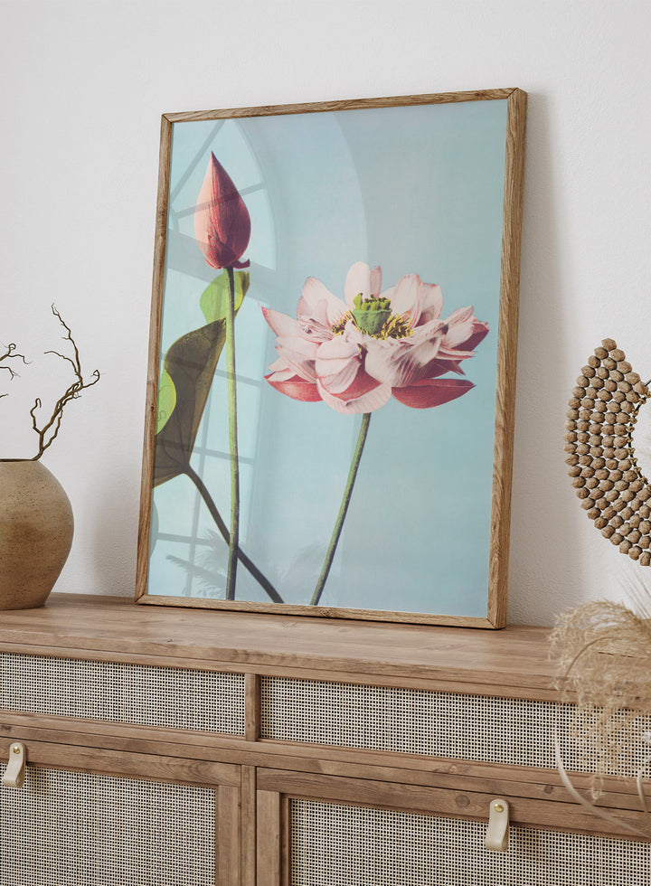 Ogawa Kazumasa Lotus Flowers Japanese Art Print OK01B