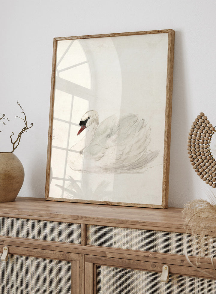 "Swan" Art Print