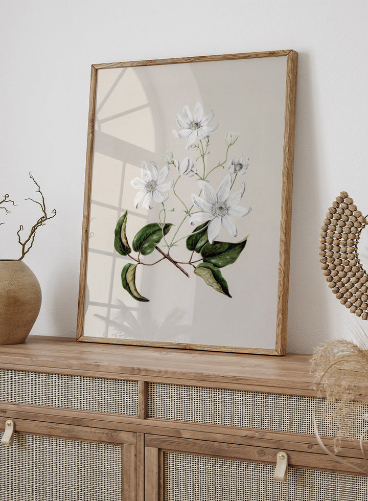 "Puawananga: Clematis Indivisa" Art Print