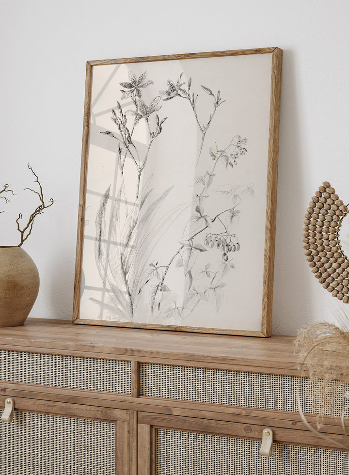 Botanical Study by George Elbert Burr is a vintage pen and ink botanical print of lilies, leaves, and berries, a detailed nature drawing for wall art.