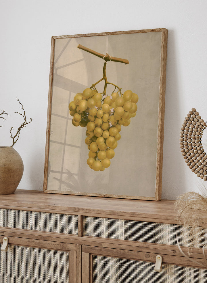 "Prize Golden Hamburg Grapes" Art Print