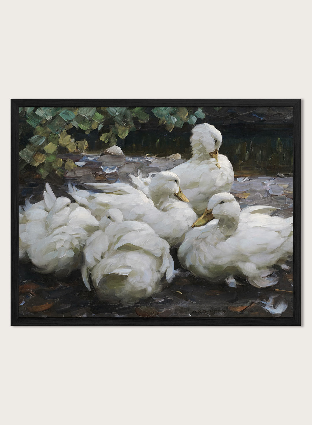 "Five Resting White Ducks" Art Print
