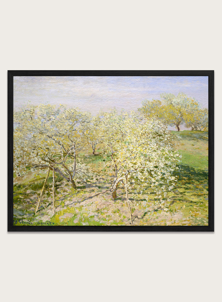 Claude Monet Spring (Fruit Trees in Bloom) Art Print