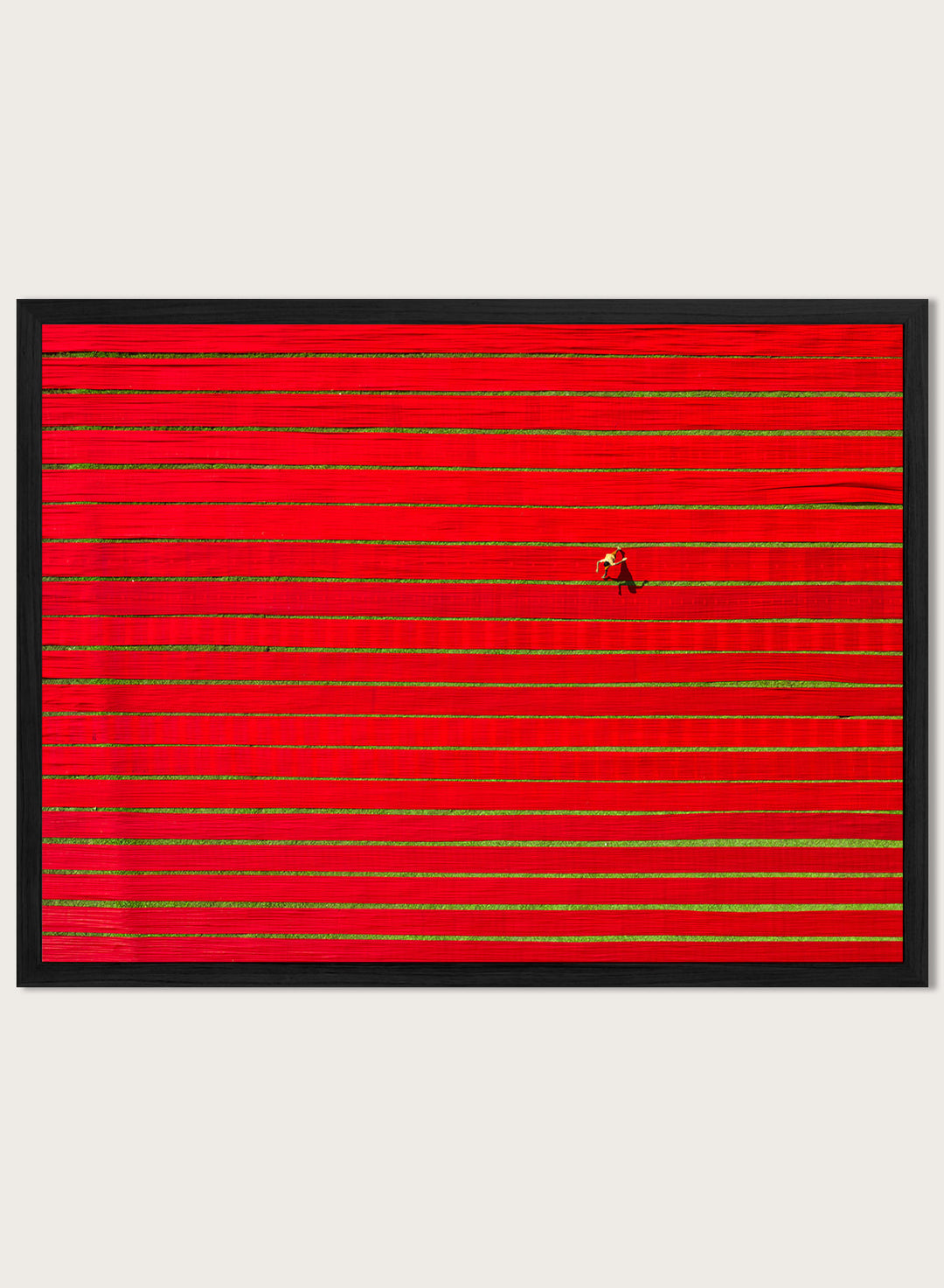 Drying Colorful Cloth by Azim Khan Ronnie aerial photography print showing red textile fabric drying in Bangladesh fields, cultural wall art poster