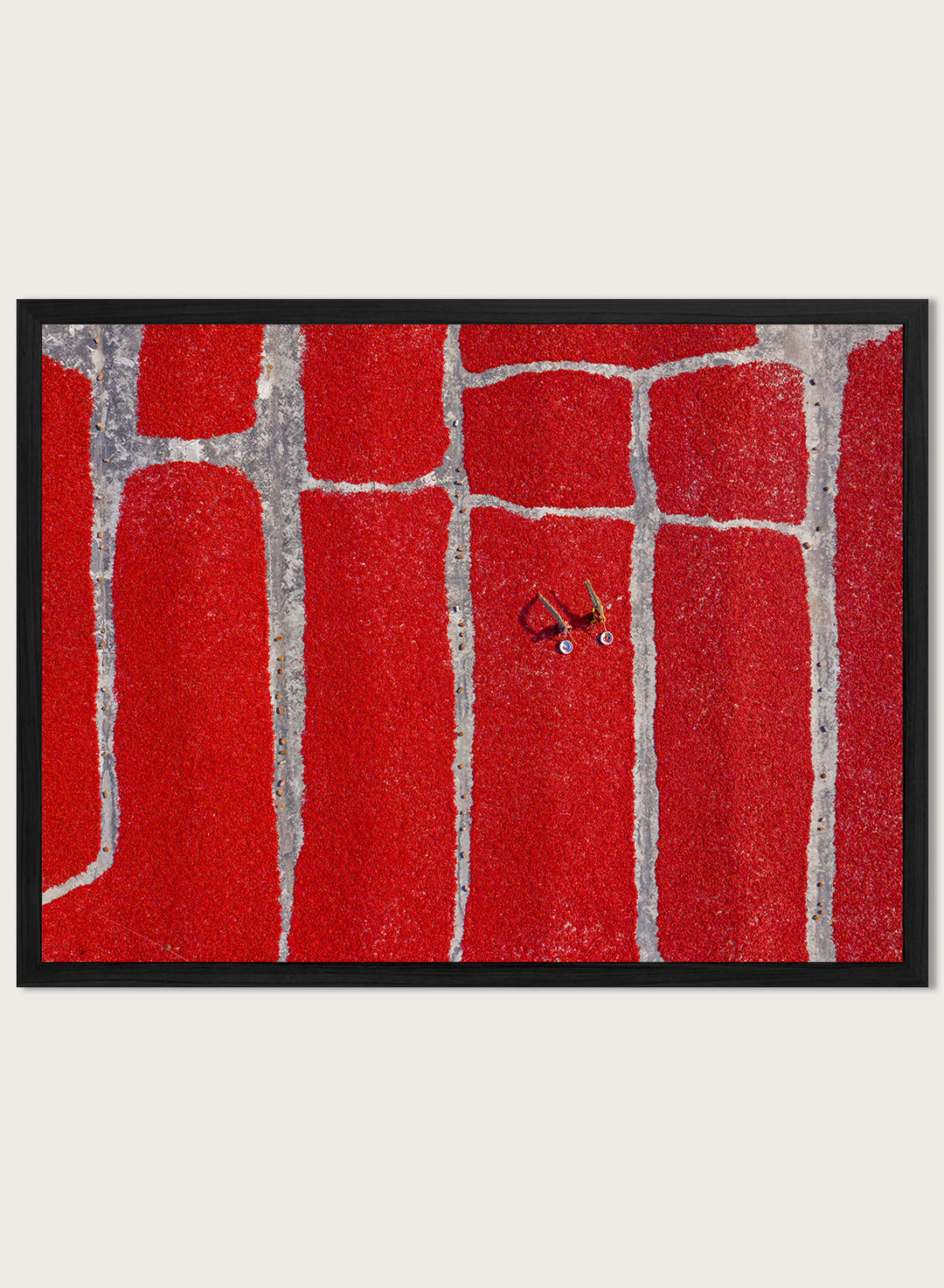 Chilli Farm by Azim Khan Ronnie aerial photography print showing red chilli drying fields in Bangladesh, cultural food production wall art poster.