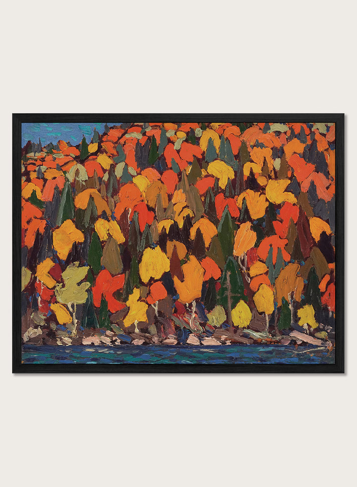 Shop Autumn Foliage by Tom Thomson, a vintage Canadian landscape wall art print poster featuring brilliant autumn trees along the water in orange tones.